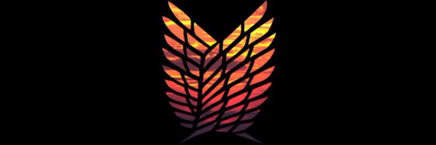 AHMED44446's profile banner image