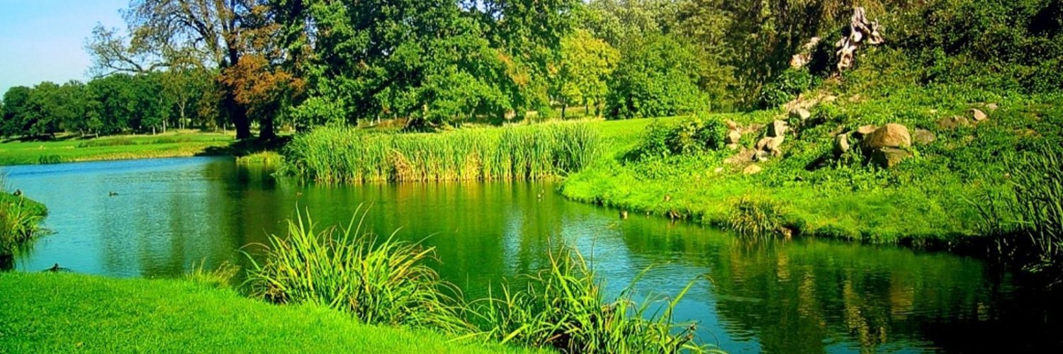 hamidur2727's profile banner image