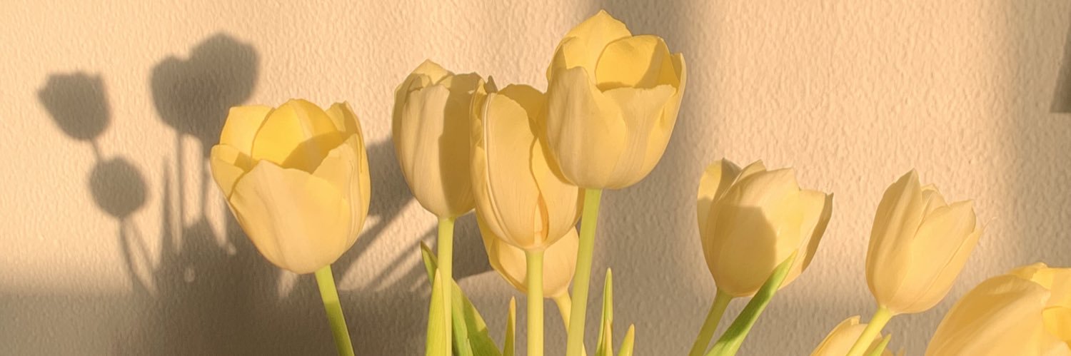 saralvarez__'s profile banner image