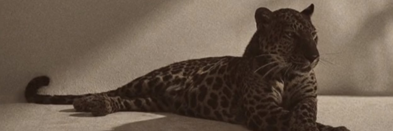 🐆 banner