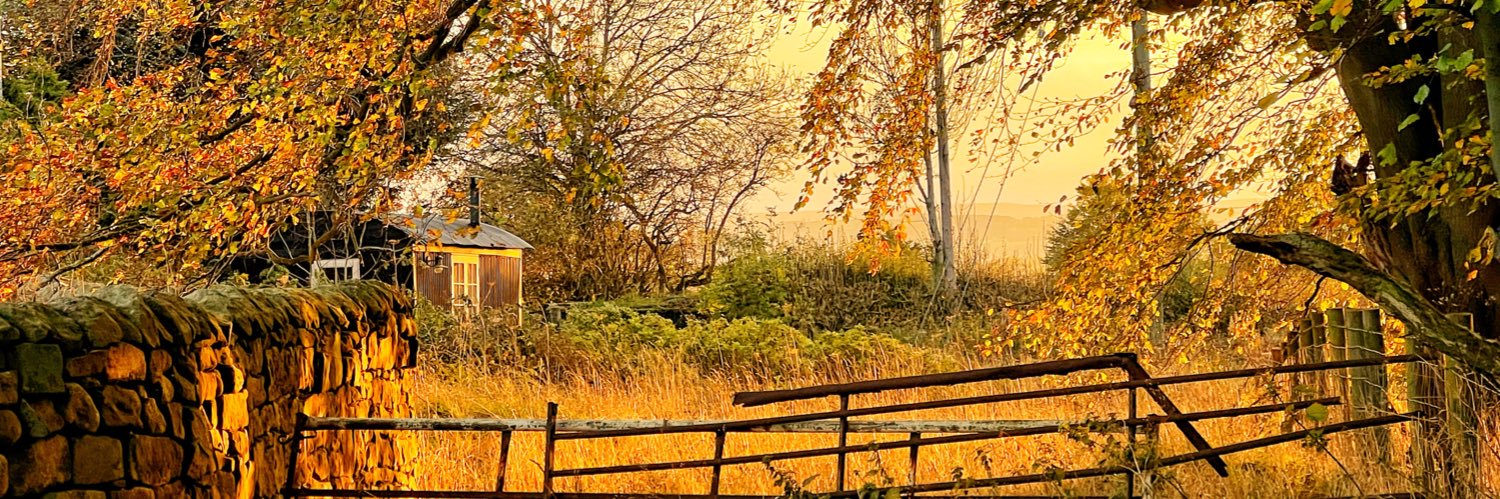 BlueShepherdHut's profile banner image