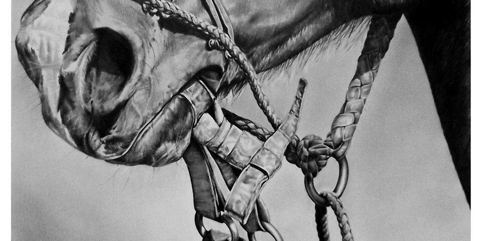 Leandro Leivas banner