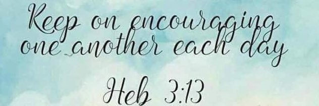 Cheyanne Shackelford banner