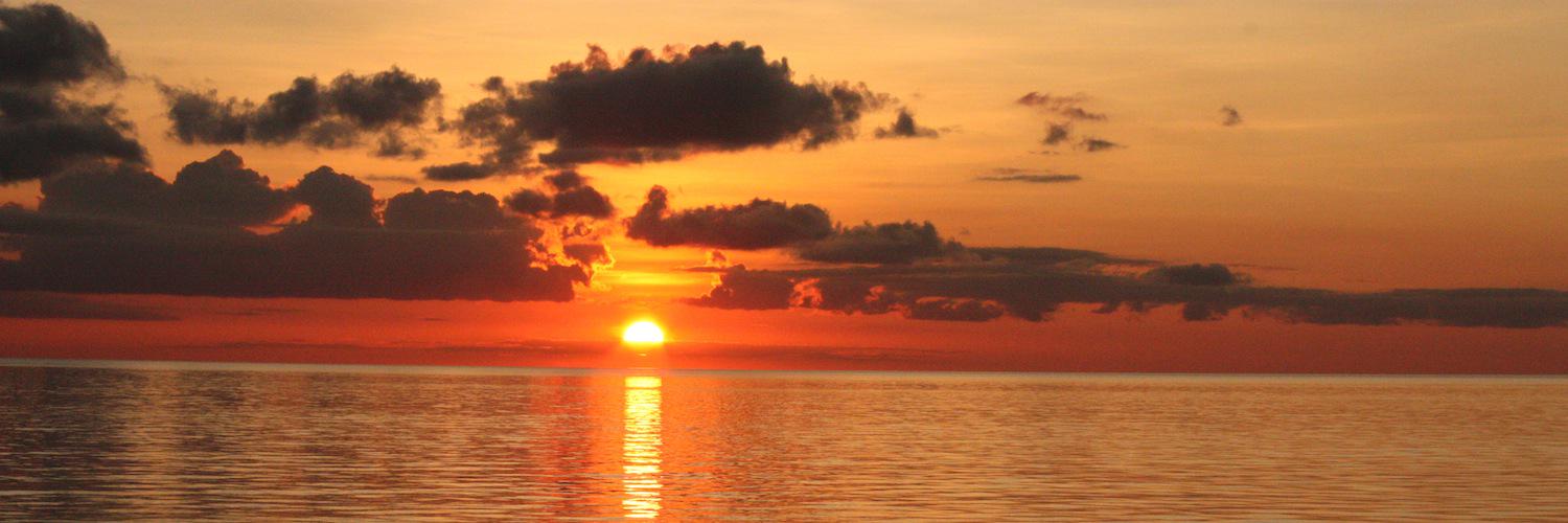 narayanrod's profile banner image