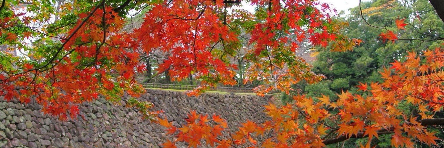 アリヌ🍠春例す25ab banner