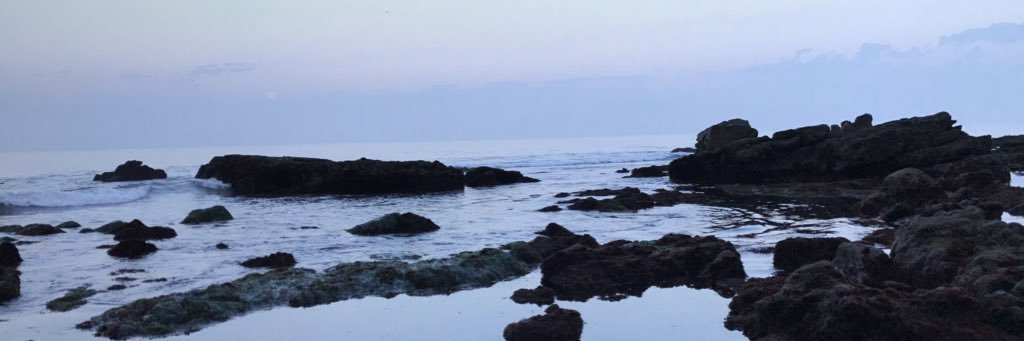MsJillian15's profile banner image