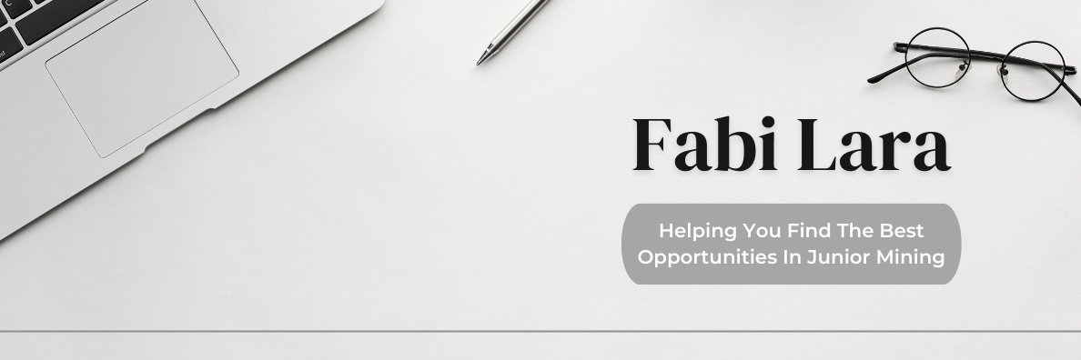 Fabi's banner