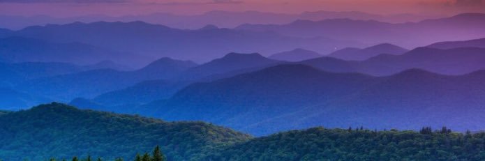 Kimberly Castner banner