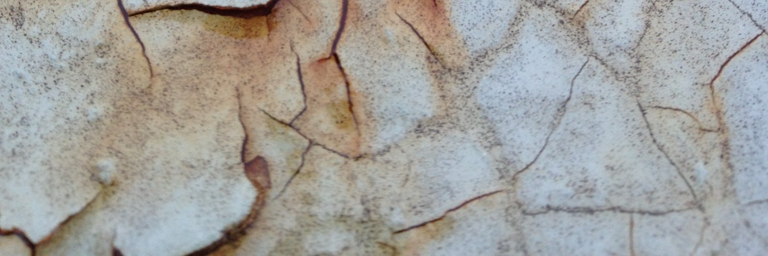 santohkun's profile banner image