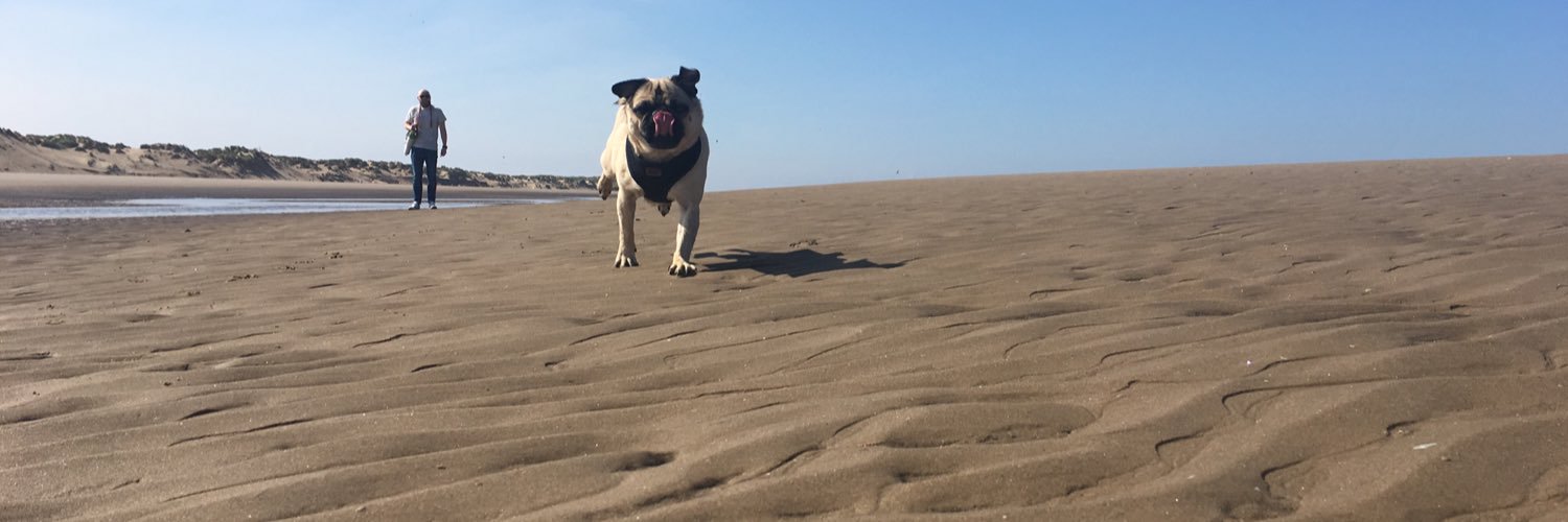 Thekee2happy's profile banner image