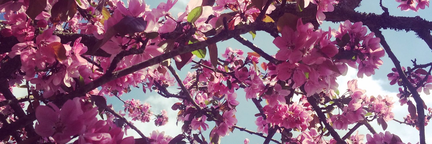 AlannahSmith1's profile banner image