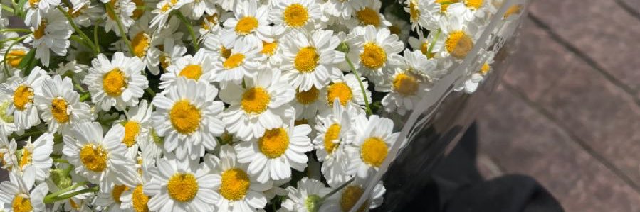 m_m221's profile banner image