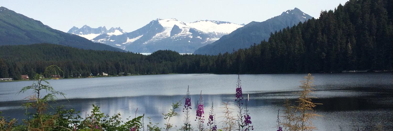 Roxanne McMurray banner