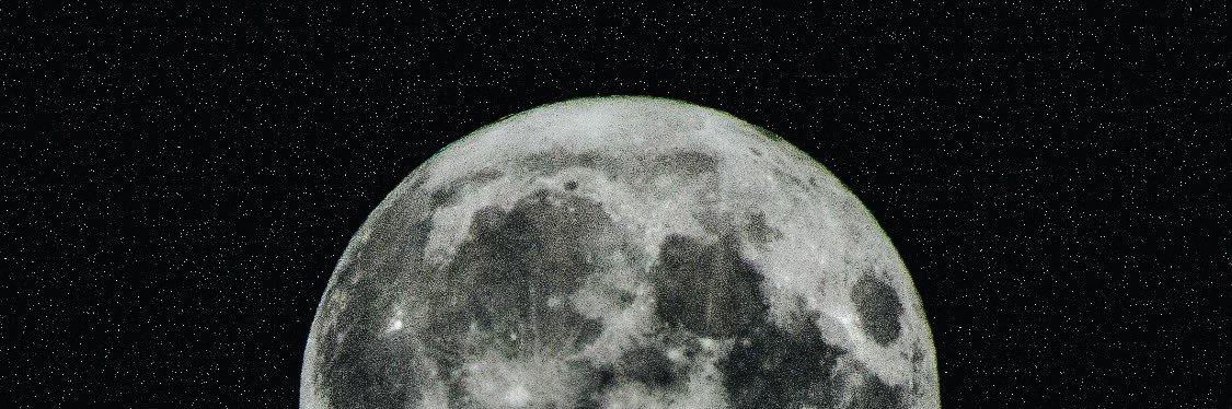 savethebeezzz's profile banner image