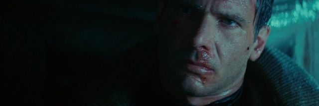 MayerElliot's profile banner image