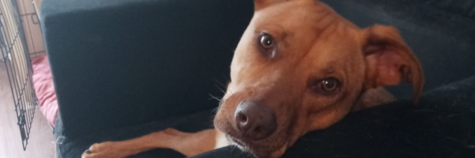 MiguelSee_'s profile banner image