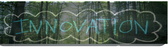 Feliciano's Class banner