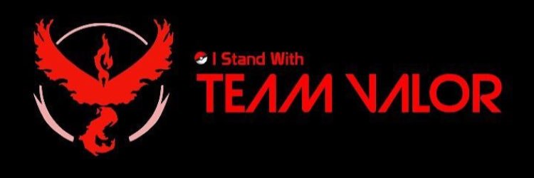 Team Valor Bay Area banner
