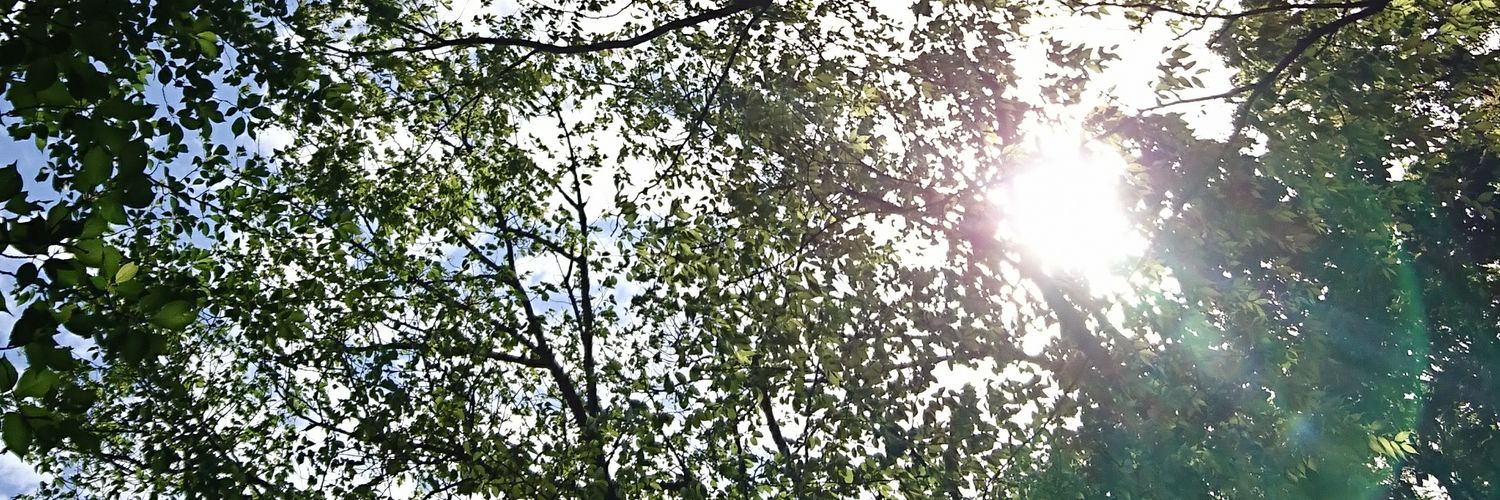 武中　　大輔 banner