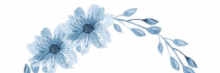 AriEcclesia's profile banner image