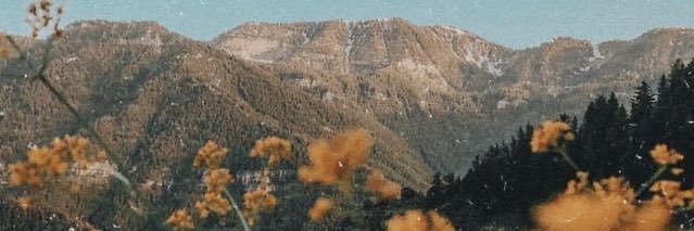 Halieee_25's profile banner image