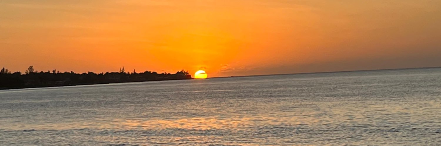 Britty's banner