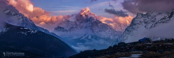 frmuses Profile Banner