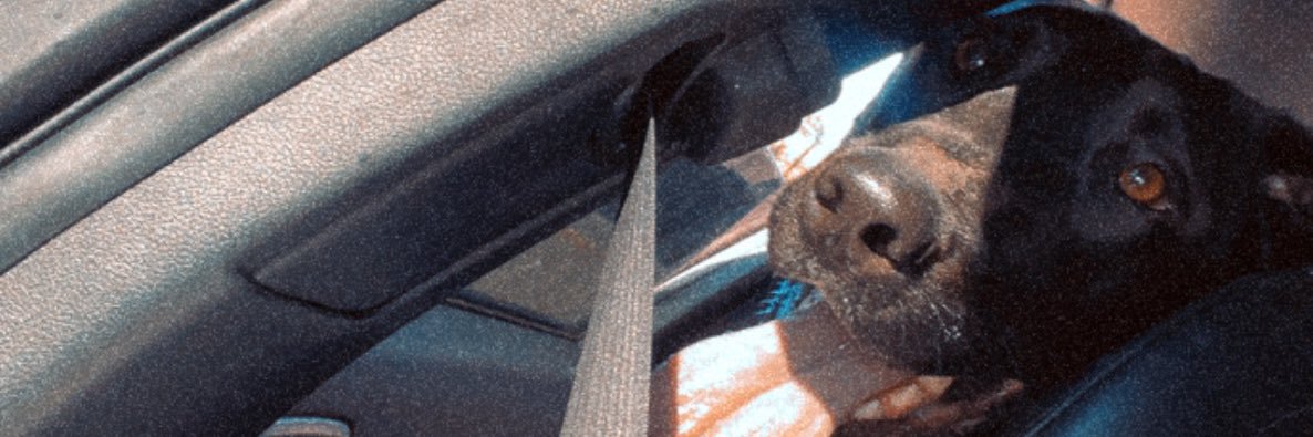 _bradyk's profile banner image