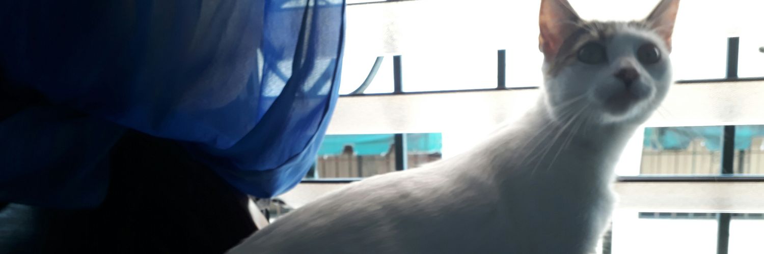 Dna7115's profile banner image
