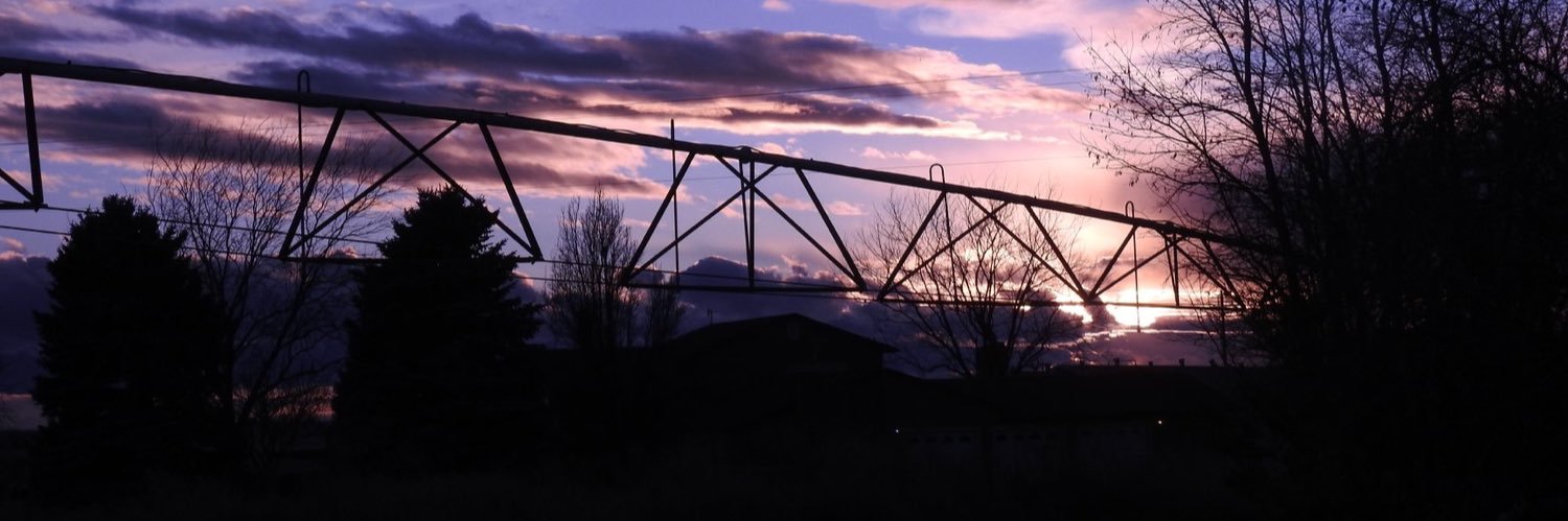 Lydia Harbaugh banner