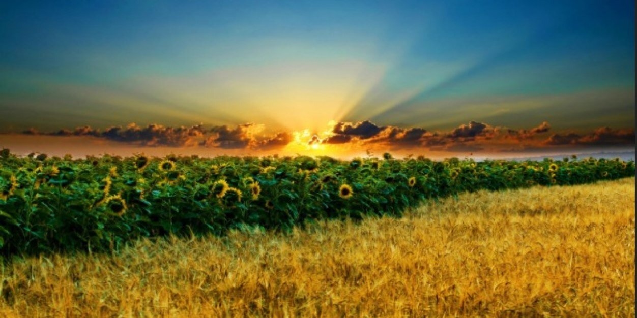 lin_zee5's profile banner image
