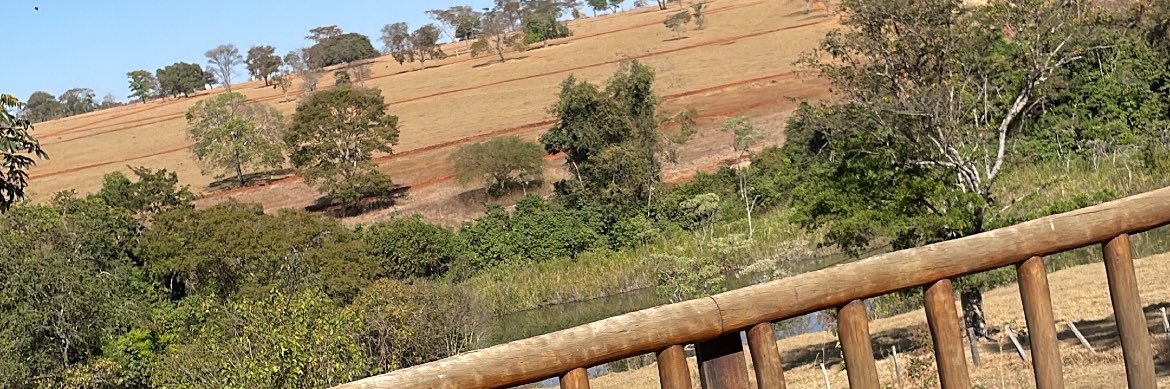 Lucca Dechichi banner