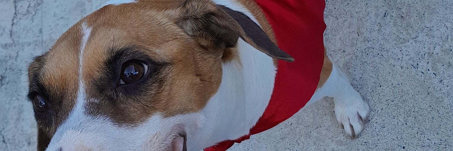 EquisSoiChava's profile banner image
