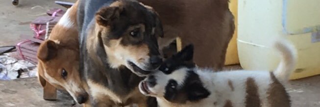 ToMtamToM's profile banner image