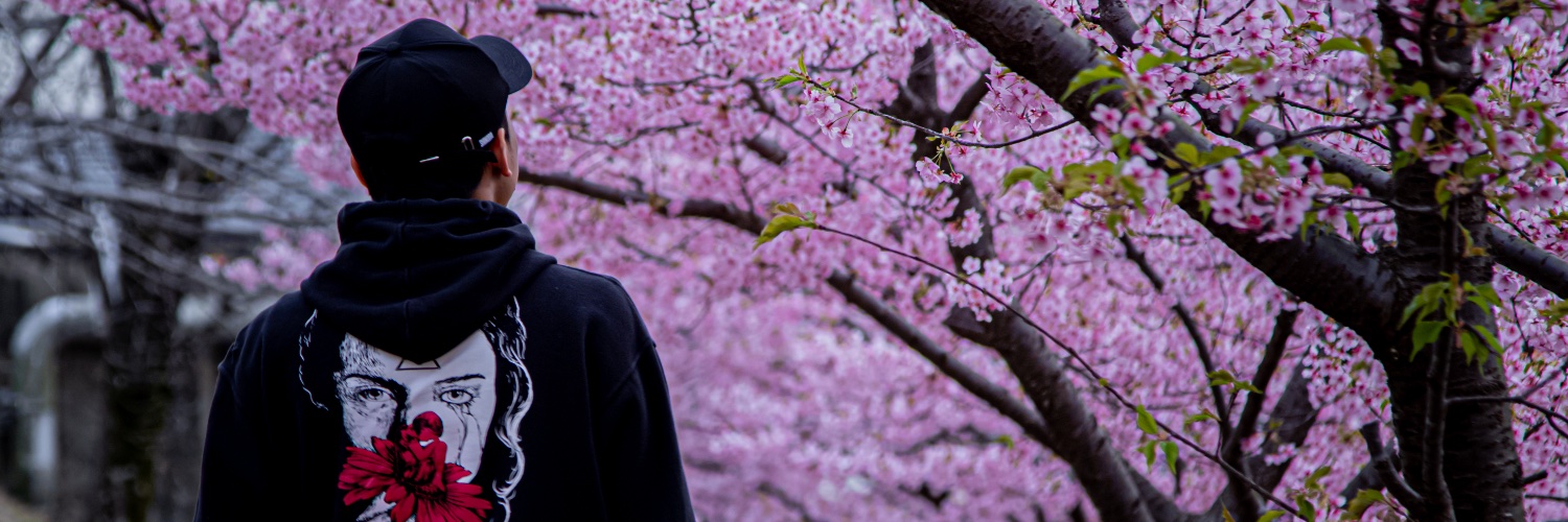 ricolpu's profile banner image