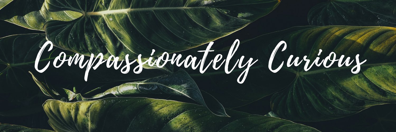 CassBryantBlog's profile banner image