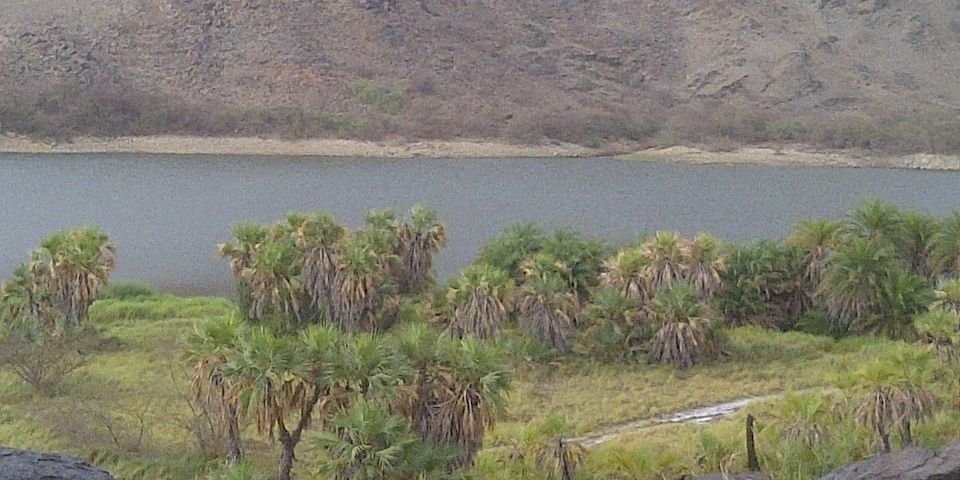 محمد النمري MKASRHM banner