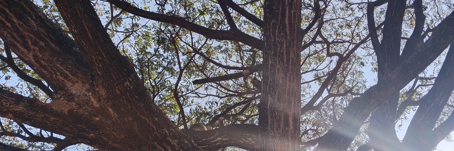 AdikHapsari's profile banner image