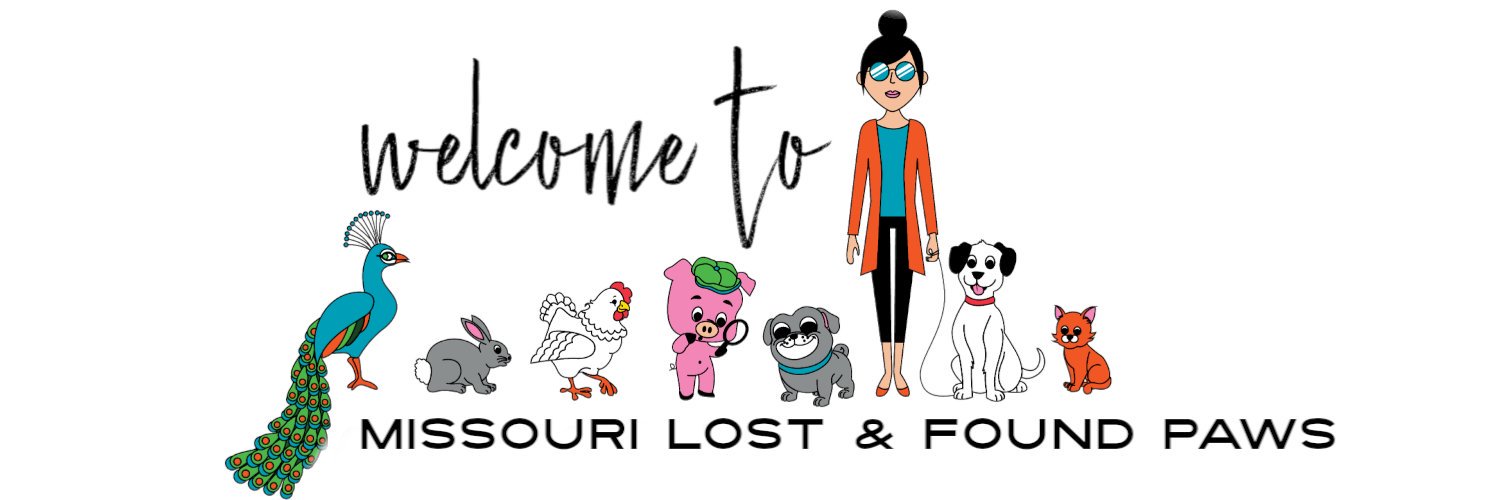 molostfoundpaws's profile banner image