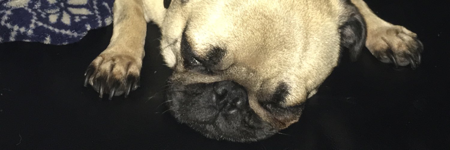 wtfmatee3's profile banner image