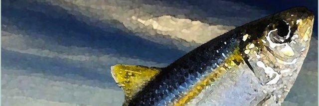 Maria Whelan banner