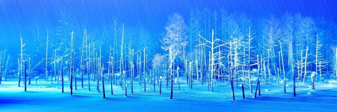 yukipee's profile banner image