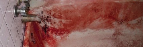 Tintexture's profile banner image