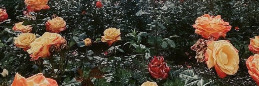 noellefromhell's profile banner image