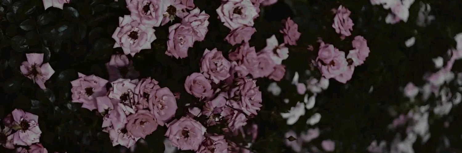 ky_pieeexo's profile banner image