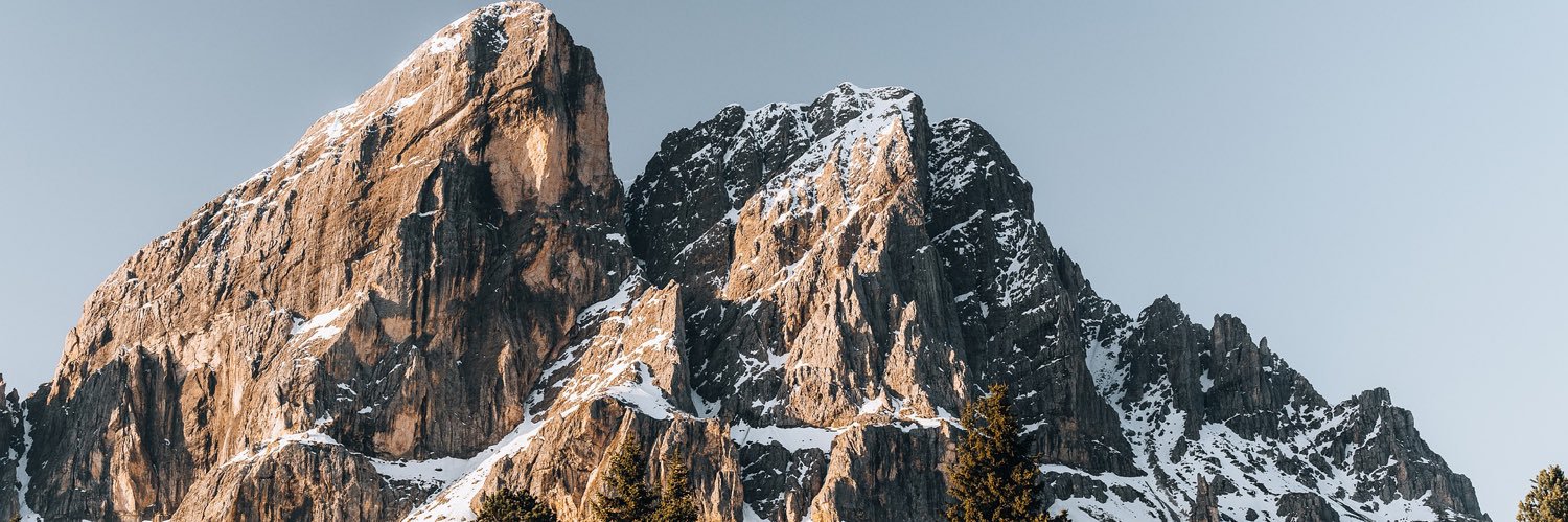 Michael Demanega banner