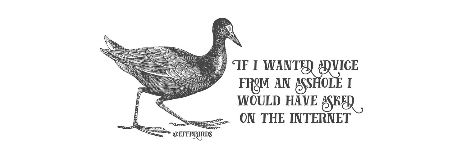 François Renaville 🇺🇦🇪🇺 banner