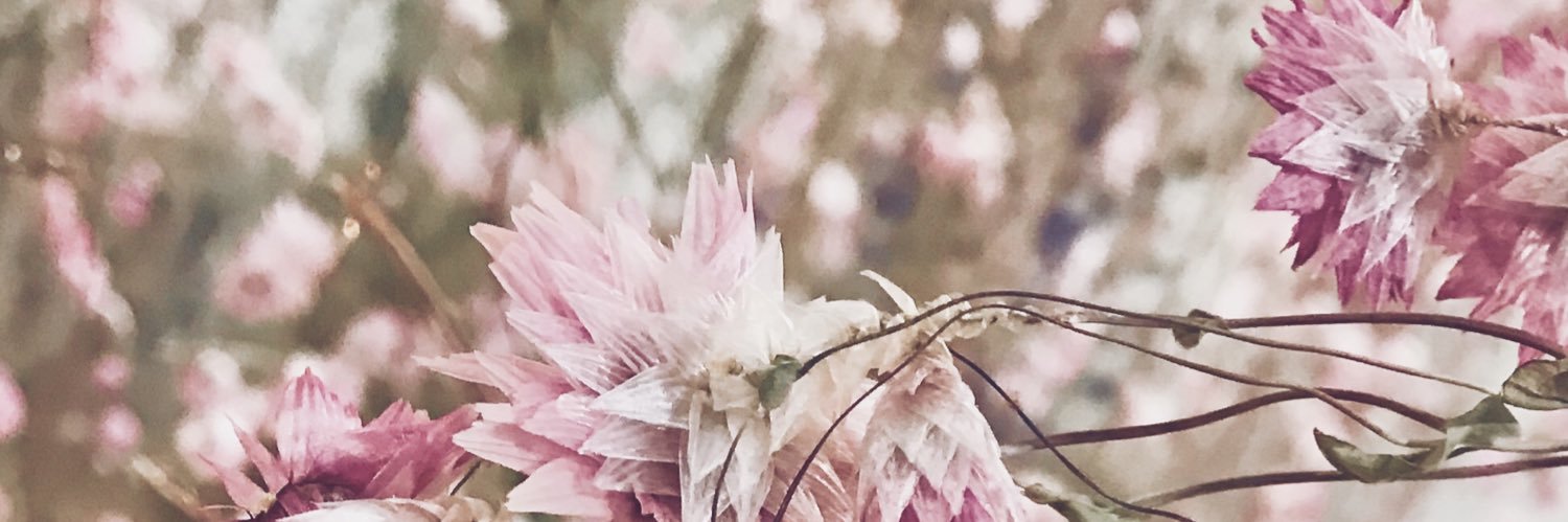amanda_bradish's profile banner image