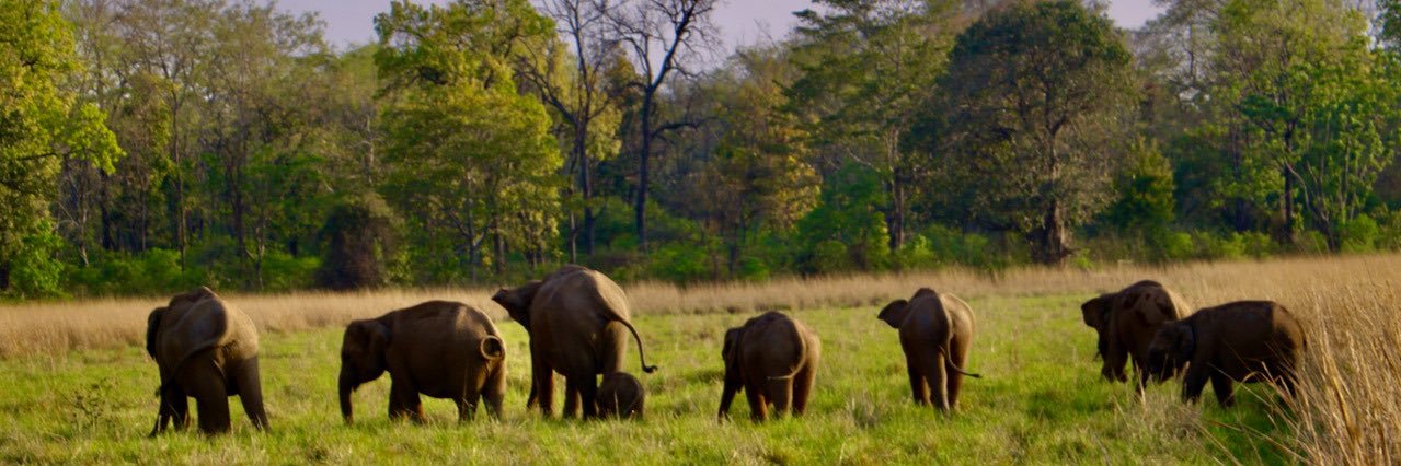 Pawan Badhe पवन बढे banner