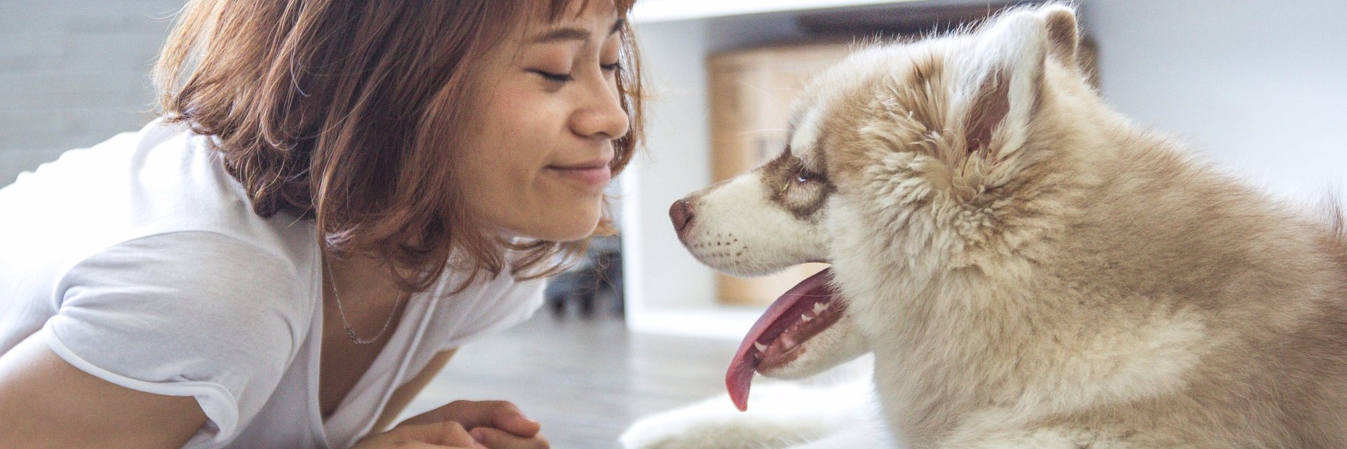 dog_training123's profile banner image